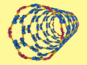 NanoTube picture